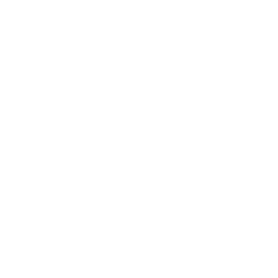 Company Profile